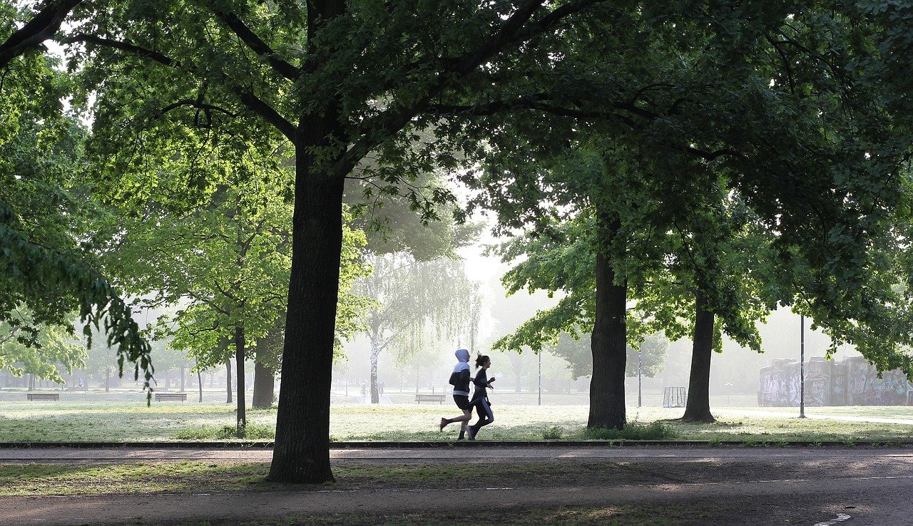 jogging, fitness, jogger, movement, fit, run, park, sport, jog, people, person, sportsman, jogging, jogging, jogging, fitness, fitness, fitness, fitness, fitness, run, run, park, park, park, sport